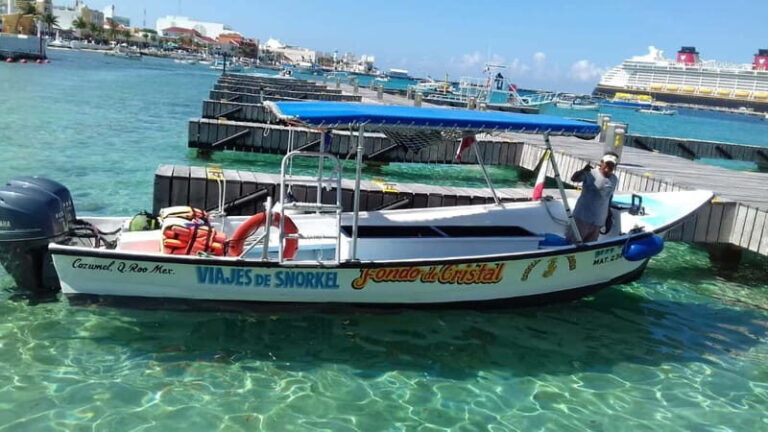Cozumel: El Cielo & Palancar Snorkel with Open Bar & Ceviche - A Detailed Look at the Tour Experience