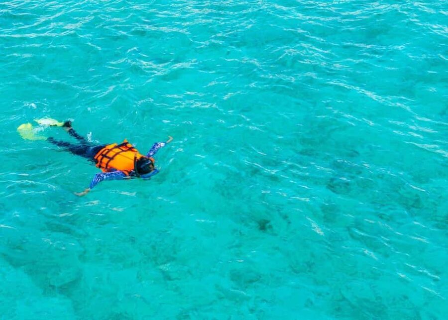 Cozumel: El Cielo & Reef Private Boat Tour with Snacks - What Makes This Tour Stand Out?