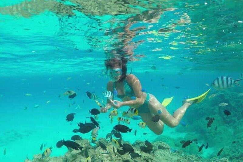 Cozumel El Cielo Sandbar and Reef Snorkeling Tour - What We Love About This Tour