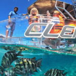 Cozumel: Excursion Crystal Boat Tour with Snorkel & Drinks - Who Would Love This Tour?