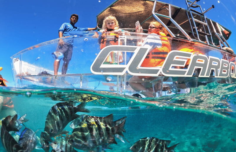 Cozumel: Excursion Crystal Boat Tour with Snorkel & Drinks - Who Would Love This Tour?