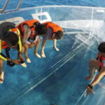 Cozumel Experience: ATV Wild Ride and Clear Boat Adventure - Who Should Consider This Tour?