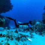 Cozumel: Fun Dive Adventure for Certificates - Logistics and Practicalities