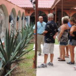 Cozumel: Historical Driving Tour by VW Buggy with Snorkeling - Discovering Cozumel: An In-Depth Look at the VW Buggy Tour