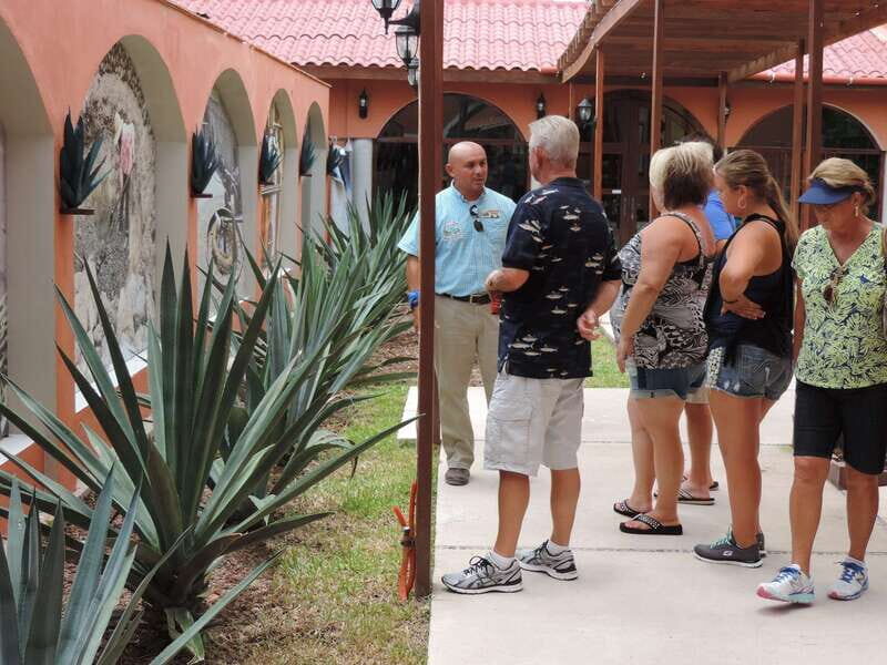 Cozumel: Historical Driving Tour by VW Buggy with Snorkeling - Discovering Cozumel: An In-Depth Look at the VW Buggy Tour