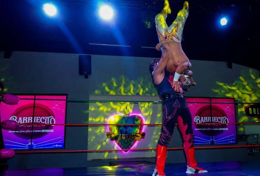 Cozumel Lucha Libre Experience! Meet & Greet Package - Who Should Consider This Tour?