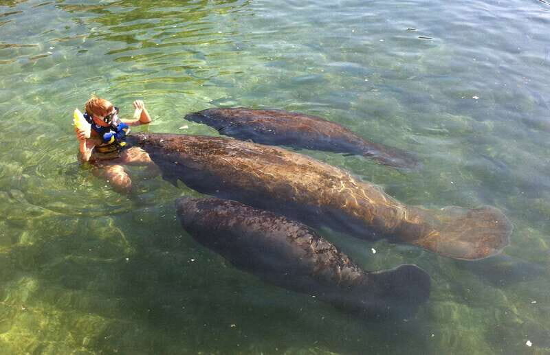 Cozumel: Manatee Encounter, Chankanaab Admission and Buffet - The Charm of Chankanaab Park