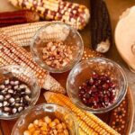 Cozumel Mayan Cultural Show: Dances, tastings & explore - Frequently Asked Questions