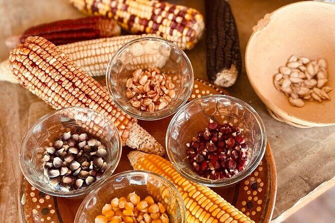 Cozumel Mayan Cultural Show: Dances, tastings & explore - Frequently Asked Questions