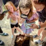 Cozumel: Mayan Roots and Local Tastes Guided Tour - A Detailed Look at the Tour
