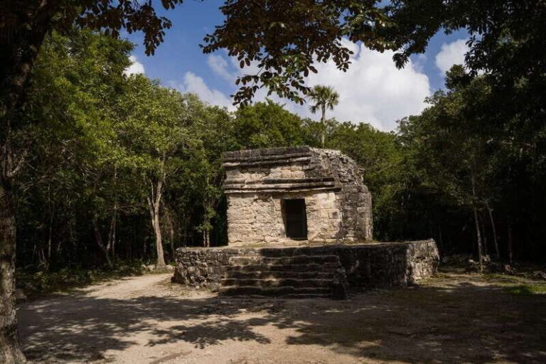 Cozumel: Mayan Ruins Guided Tour with Snorkeling & Lunch - In-Depth: What to Expect During This Cozumel Adventure