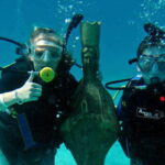 Cozumel: One Tank Scuba Dive and Full Chankanaab Park Access - Frequently Asked Questions