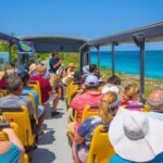 Cozumel: Open Top City Tour & Beach Break - Who Will Appreciate This Tour?