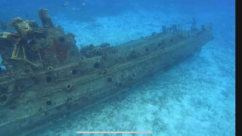Cozumel, Passion Island: 4-Hour Private Tour - Detailed Itinerary Breakdown