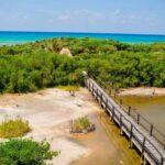 Cozumel: Private Buggy Tour to Punta Sur Park All Inclusive - Final Thoughts