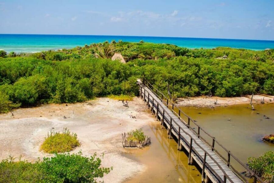 Cozumel: Private Buggy Tour to Punta Sur Park All Inclusive - Final Thoughts