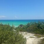 Cozumel: Private Jeep Tour, Mayan Ruins, Snorkeling & Lunch - FAQ