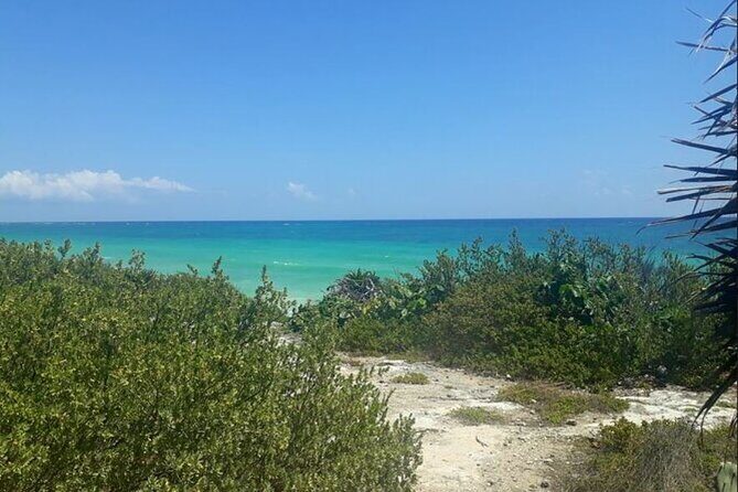 Cozumel: Private Jeep Tour, Mayan Ruins, Snorkeling & Lunch - FAQ