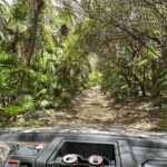 Cozumel: Private Xrail Buggy Adventure to Virgin Beach - In-Depth Breakdown: What to Expect