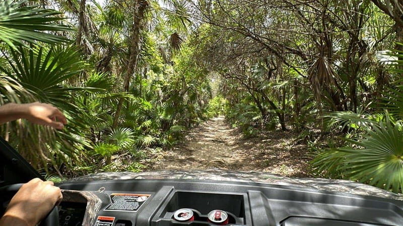 Cozumel: Private Xrail Buggy Adventure to Virgin Beach - In-Depth Breakdown: What to Expect