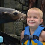 Cozumel: Sea Lion Program at Chankanaab Beach Adventure Park - Frequently Asked Questions