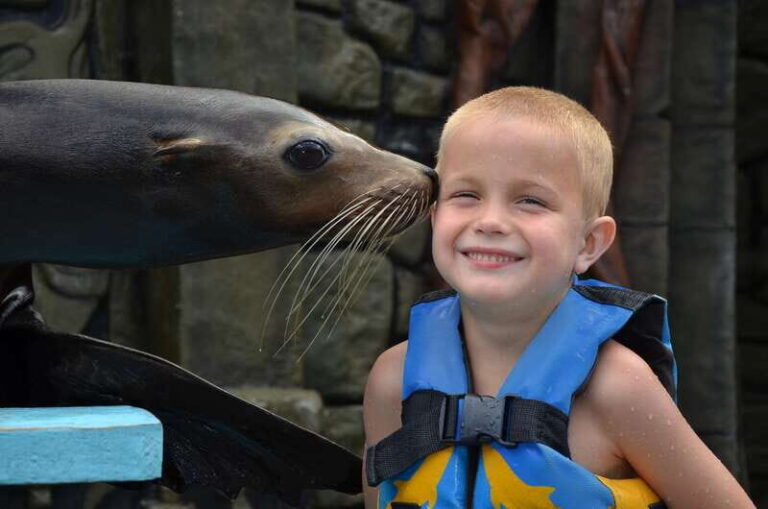 Cozumel: Sea Lion Program at Chankanaab Beach Adventure Park - Frequently Asked Questions