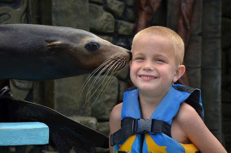 Cozumel: Sea Lion Program at Chankanaab Beach Adventure Park - Frequently Asked Questions