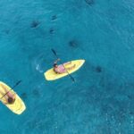 Cozumel Shore Excursion: Playa Uvas Private Beach Pass - FAQs