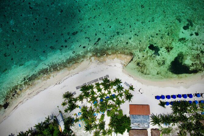 Cozumel: Shore Excursions for Royal Caribbean Cruise Passengers - Who Will Love This Tour?