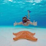 Cozumel: Snorkel at El Cielo, Colombia Reef & Palancar Reef - The Sum Up
