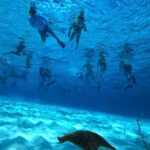 Cozumel: snorkeling on reefs + visit to "El Cielo" - Starting Point and Transportation