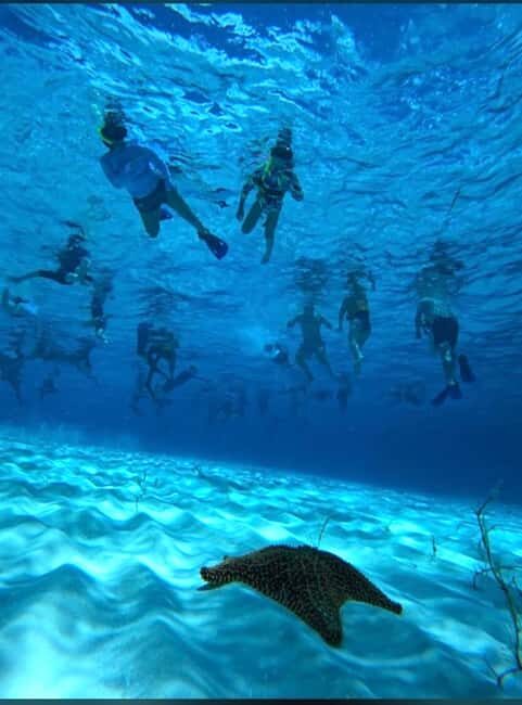 Cozumel: snorkeling on reefs + visit to "El Cielo" - Starting Point and Transportation