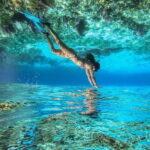 Cozumel: Snorkeling Tour at El Cielo Beach - What Makes This Tour Special