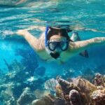 Cozumel Snorkeling Tour at Palancar & Colombia Reefs and El Cielo - Summary