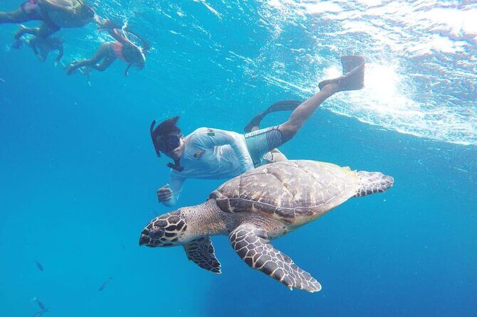 Cozumel Snorkeling Tour: Palancar, Columbia and El Cielo Reefs - Concluding Thoughts