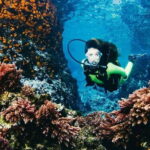 Cozumel: Twilight and Night Dive for Certified Divers - Why Choose This Tour?