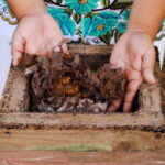 Cozumel: Ultimate Combo: Mayan Ruins, Bee Farm & Snorkeling - Who Should Consider This Tour?