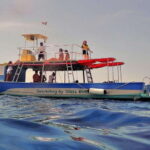 Cozumel: VIP Glass Bottom Boat & Snorkeling 3 Reefs Tour - Why This Tour Works for You