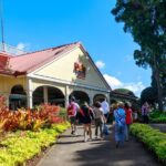 Cozy Oahu Circle Island Tour (14 Max) + Byodo-In Temple + Suprise - Who Is This Tour Best For?