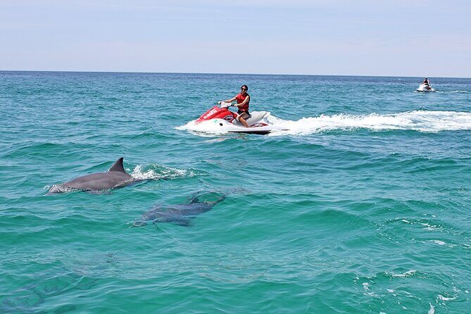 Crab Island Dolphin Jet Ski Adventure - A More In-Depth Look at the Crab Island Dolphin Jet Ski Adventure