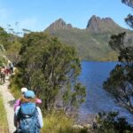 Cradle Mountain: Day Trip from Launceston with Lunch - Key Points