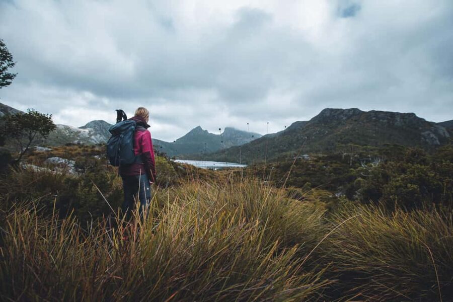 Cradle Mountain: Fully Guided Dove Lake Day Trip with Lunch - The Sum Up