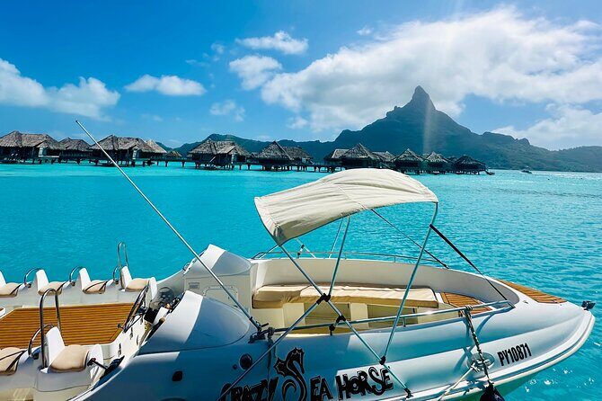 Crazy sea horse Bora Bora Comfortable boat, snorkeling and lunch - The Sum Up: Is This Tour Right for You?