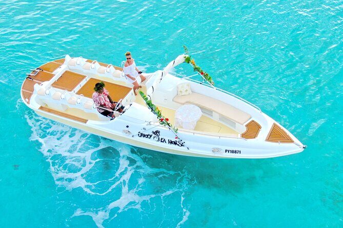 Crazyseahorseborabora Comfortable boat , sensational snorkeling . - The Experience in Detail