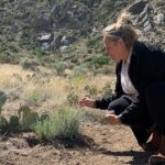 Create Energetic Flower Essences and Reconnect with Nature - Practicalities and Considerations