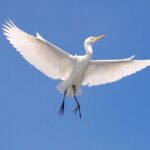 Creative Soul Scavenger Hunt( Hanapepe, Kauai) - FAQ