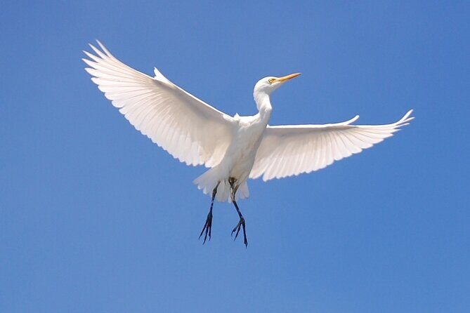 Creative Soul Scavenger Hunt( Hanapepe, Kauai) - FAQ