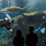 Crete: Heraklion Center, Local Market and Creta Aquarium - Authentic Experiences and Practical Insights