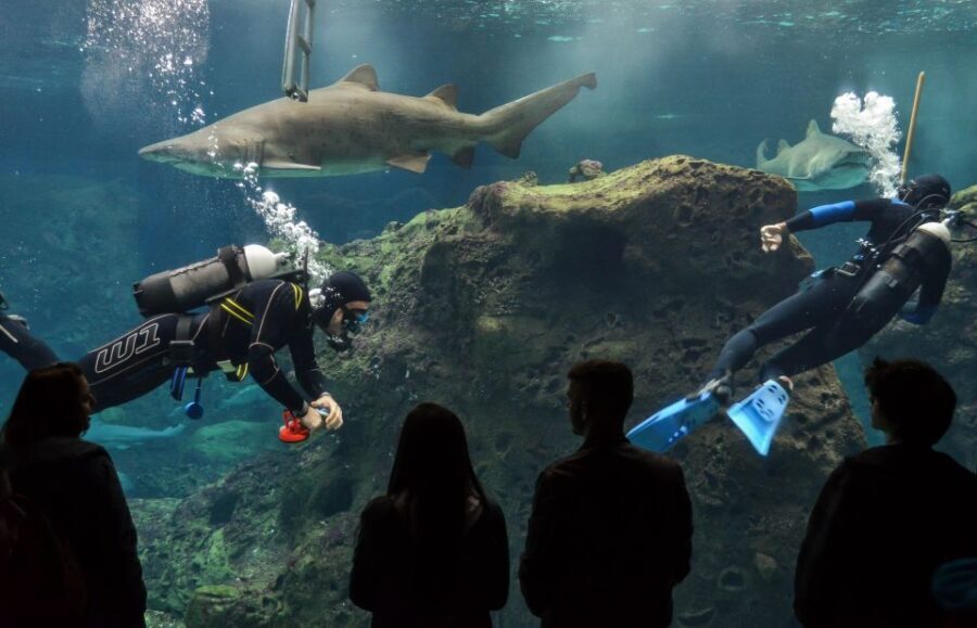 Crete: Heraklion Center, Local Market and Creta Aquarium - Authentic Experiences and Practical Insights