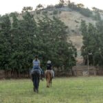 Crete Horse Riding: Cretan Countryside Ride - Authenticity and Experience
